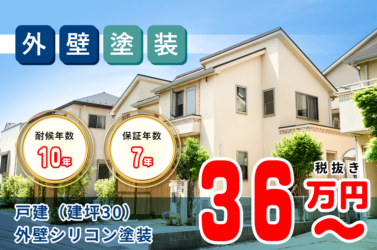 ⼾建(建坪30)外壁シリコン塗装